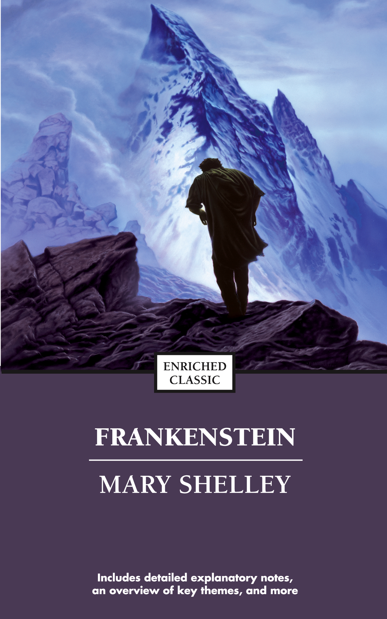 Mary Shelley: Frankenstein, or, the Modern Prometheus (1818 Text) (2009, ReadHowYouWant.com, Limited)