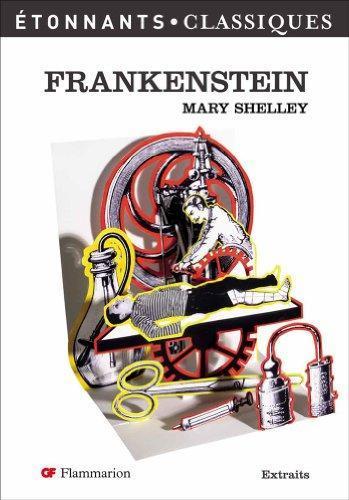Mary Shelley: Frankenstein ou Le Prométhée moderne (French language, 2007, Groupe Flammarion)
