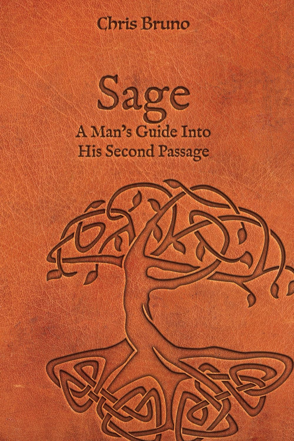 Chris Bruno: Sage (2022, Restoration Project)